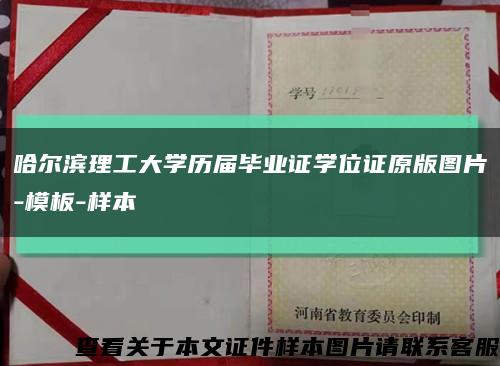 哈尔滨理工大学历届毕业证学位证原版图片-模板-样本缩略图