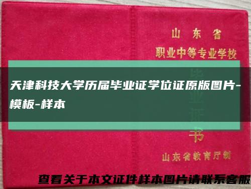 天津科技大学历届毕业证学位证原版图片-模板-样本缩略图