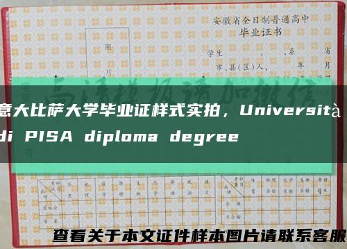 意大比萨大学毕业证样式实拍，Università di PISA diploma degree缩略图