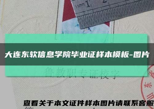 大连东软信息学院毕业证样本模板-图片缩略图