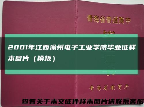 2001年江西渝州电子工业学院毕业证样本图片（模板）缩略图