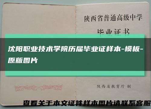 沈阳职业技术学院历届毕业证样本-模板-原版图片缩略图