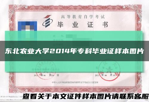 东北农业大学2014年专科毕业证样本图片缩略图