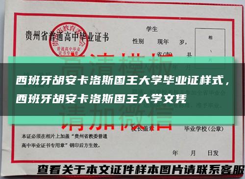 西班牙胡安卡洛斯国王大学毕业证样式，西班牙胡安卡洛斯国王大学文凭缩略图