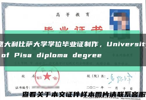 意大利比萨大学学位毕业证制作，University of Pisa diploma degree缩略图