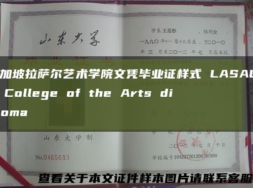 新加坡拉萨尔艺术学院文凭毕业证样式 LASALLE College of the Arts diploma缩略图