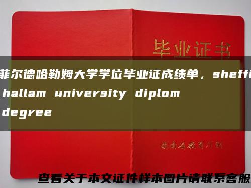 谢菲尔德哈勒姆大学学位毕业证成绩单，sheffield hallam university diploma degree缩略图