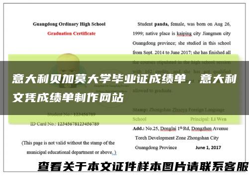 意大利贝加莫大学毕业证成绩单，意大利文凭成绩单制作网站缩略图