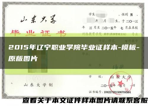2015年辽宁职业学院毕业证样本-模板-原版图片缩略图