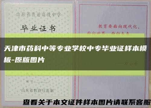 天津市药科中等专业学校中专毕业证样本模板-原版图片缩略图