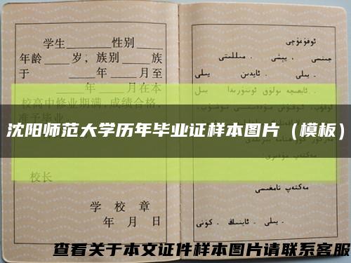 沈阳师范大学历年毕业证样本图片（模板）缩略图