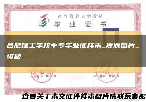 合肥理工学校中专毕业证样本_原版图片_模板缩略图