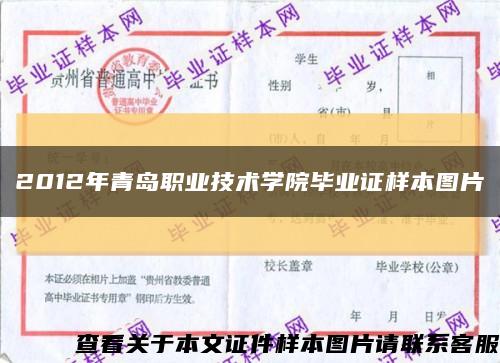 2012年青岛职业技术学院毕业证样本图片缩略图