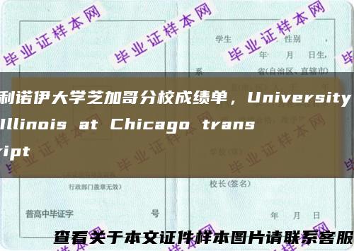 伊利诺伊大学芝加哥分校成绩单，University of Illinois at Chicago transcript缩略图