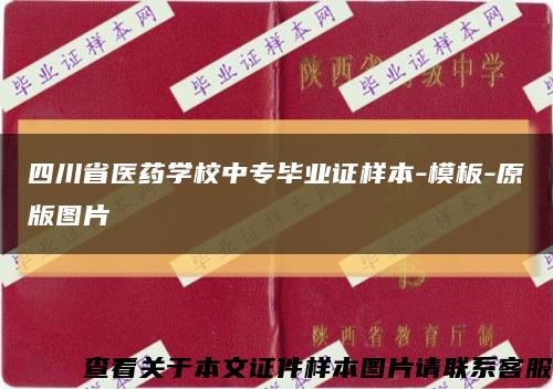 四川省医药学校中专毕业证样本-模板-原版图片缩略图