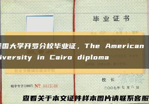 美国大学开罗分校毕业证，The American University in Cairo diploma缩略图