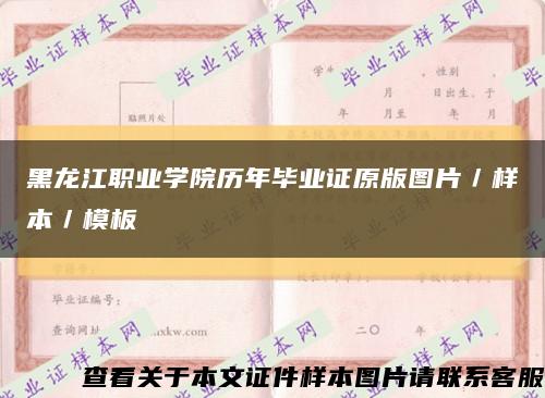 黑龙江职业学院历年毕业证原版图片／样本／模板缩略图