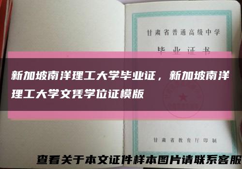 新加坡南洋理工大学毕业证，新加坡南洋理工大学文凭学位证模版缩略图