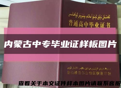 内蒙古中专毕业证样板图片缩略图