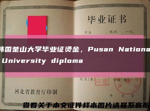 韩国釜山大学毕业证烫金，Pusan National University diploma缩略图