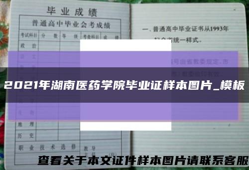 2021年湖南医药学院毕业证样本图片_模板缩略图