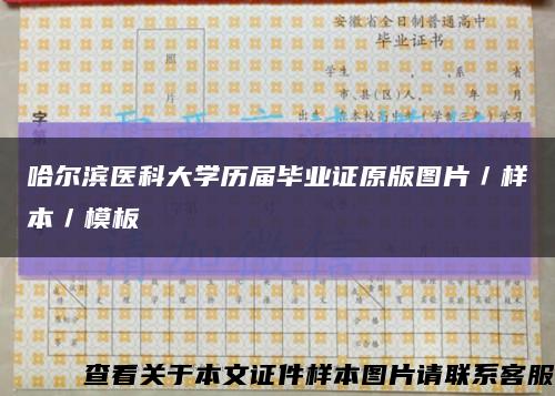 哈尔滨医科大学历届毕业证原版图片／样本／模板缩略图