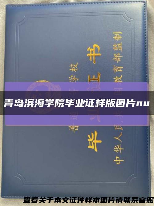 青岛滨海学院毕业证样版图片nu缩略图