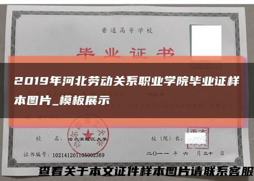 2019年河北劳动关系职业学院毕业证样本图片_模板展示缩略图