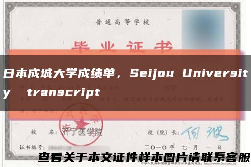 日本成城大学成绩单，Seijou University  transcript缩略图