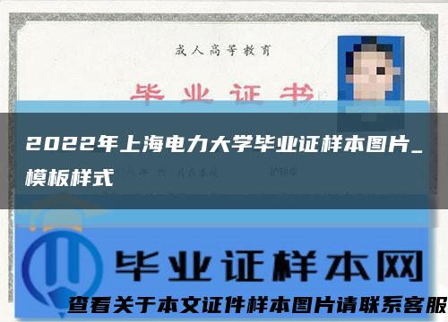 2022年上海电力大学毕业证样本图片_模板样式缩略图