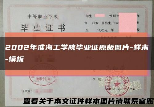 2002年淮海工学院毕业证原版图片-样本-模板缩略图