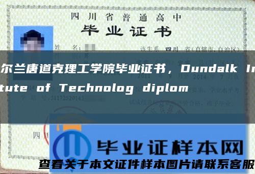 爱尔兰唐道克理工学院毕业证书，Dundalk Institute of Technolog diploma缩略图