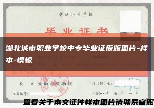 湖北城市职业学校中专毕业证原版图片-样本-模板缩略图