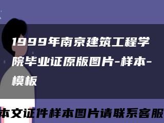 1999年南京建筑工程学院毕业证原版图片-样本-模板缩略图