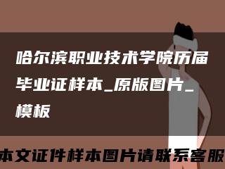 哈尔滨职业技术学院历届毕业证样本_原版图片_模板缩略图