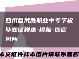 四川省武胜职业中专学校毕业证样本-模板-原版图片缩略图