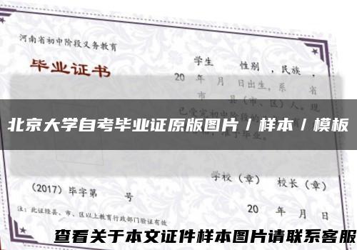 北京大学自考毕业证原版图片／样本／模板缩略图