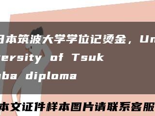 日本筑波大学学位记烫金，University of Tsukuba diploma缩略图
