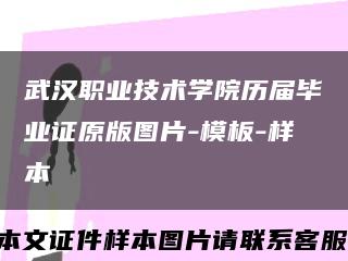 武汉职业技术学院历届毕业证原版图片-模板-样本缩略图