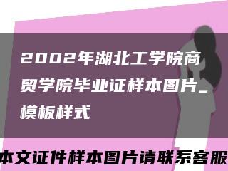 2002年湖北工学院商贸学院毕业证样本图片_模板样式缩略图