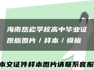 海南岳崧学校高中毕业证原版图片／样本／模板缩略图