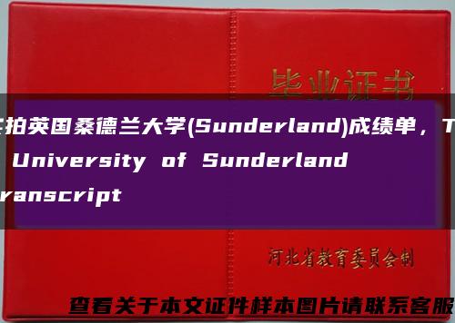 实拍英国桑德兰大学(Sunderland)成绩单，The University of Sunderland Transcript缩略图