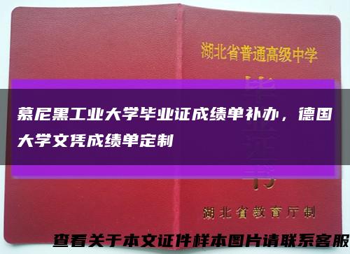 慕尼黑工业大学毕业证成绩单补办，德国大学文凭成绩单定制缩略图