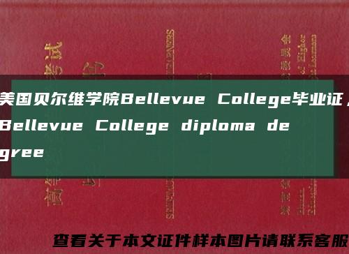 美国贝尔维学院Bellevue College毕业证，Bellevue College diploma degree缩略图