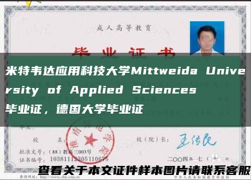 米特韦达应用科技大学Mittweida University of Applied Sciences毕业证，德国大学毕业证缩略图