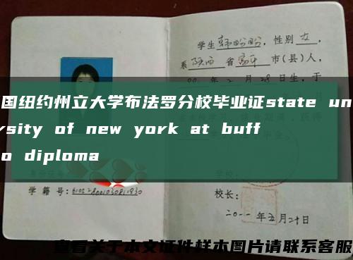 美国纽约州立大学布法罗分校毕业证state university of new york at buffalo diploma缩略图