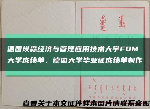 德国埃森经济与管理应用技术大学FOM大学成绩单，德国大学毕业证成绩单制作缩略图