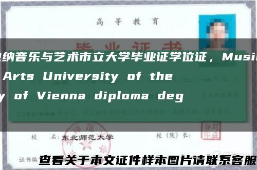 维也纳音乐与艺术市立大学毕业证学位证，Music and Arts University of the City of Vienna diploma degre缩略图