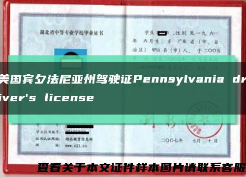 美国宾夕法尼亚州驾驶证Pennsylvania driver's license缩略图