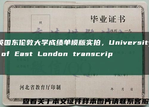 英国东伦敦大学成绩单模版实拍，University of East London transcript缩略图